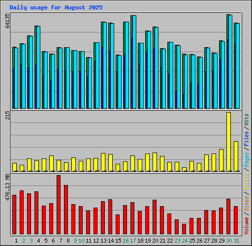 Daily usage for August 2025