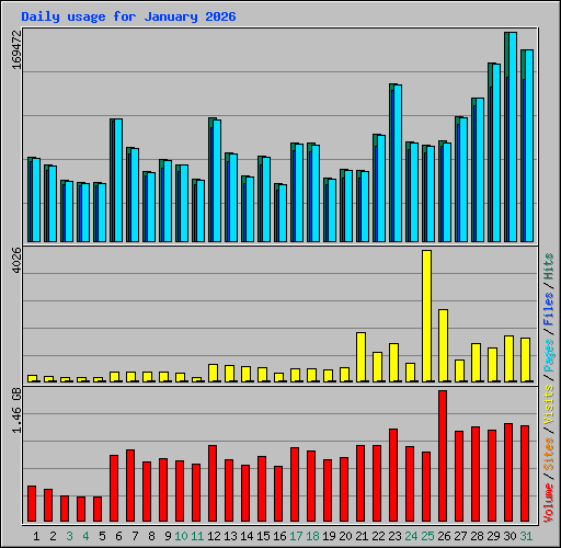 Daily usage for January 2026