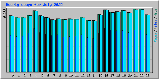 Hourly usage for July 2025